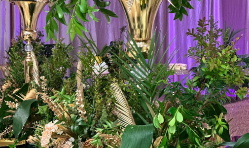 M’Channe Events | Home